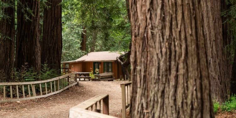 The Best Hotels in Big Sur for a Relaxing Off-Grid Getaway