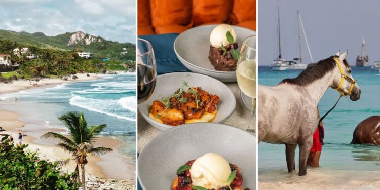 The Best Things to Do in Barbados, and Where to Stay and Eat While You're There