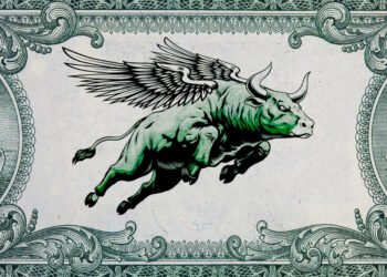 The U.S. stock market is becoming ‘too big to fail’
