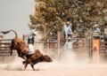 The bull market got a new lease on life — can it last?