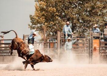 The bull market got a new lease on life — can it last?