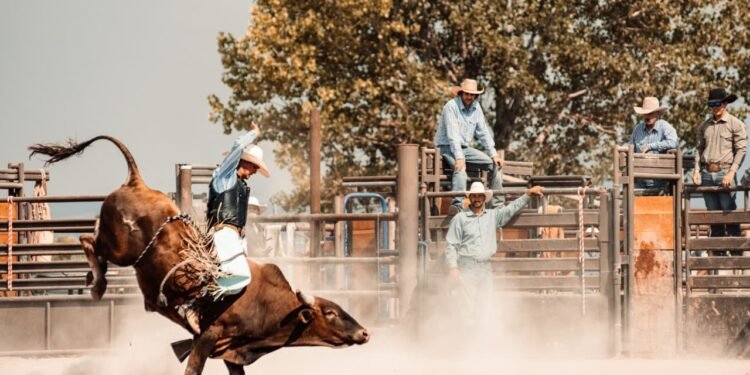 The bull market got a new lease on life — can it last?