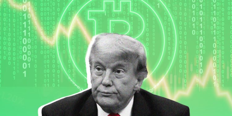 Trump’s billion-dollar crypto haul triggers some everyday investors sitting on big losses