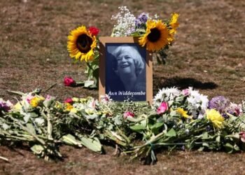 UK police arrest man on suspicion of killing former minister Widdecombe