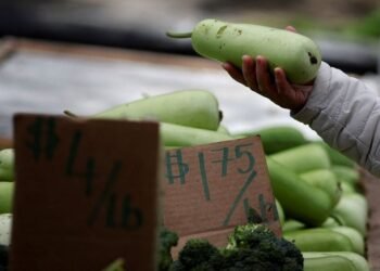 US small-business sentiment rebounds in June, inflation a major worry for many
