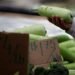 US small-business sentiment rebounds in June, inflation a major worry for many