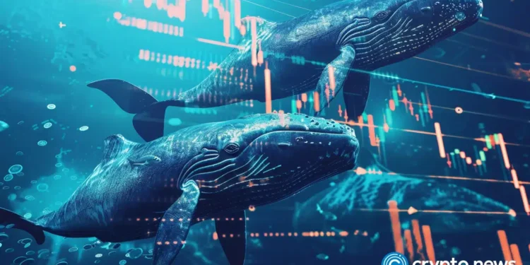 Whales bought $16.7B of Bitcoin while Wall Street ran for the exit - 2