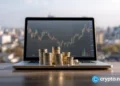 What is a stock buyback? How repurchases affect price