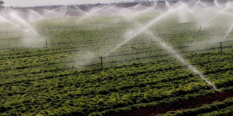 What makes this cyclospora outbreak different — and why it might not end until August  